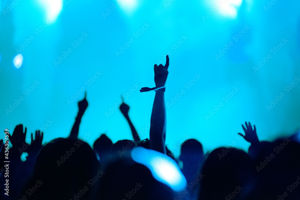 Rear view of crowd with arms outstretched at concert Rear view of crowd with arms outstretched at concert