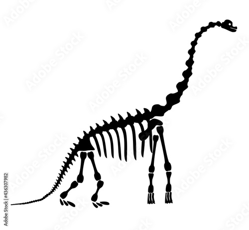 Diplodocus skeleton. Ancient prehistoric animal dinosaur. Big animal of the prehistoric Mesozoic era. Illustration  drawing  engraving  ink  line art. Vector illustration in cartoon style.