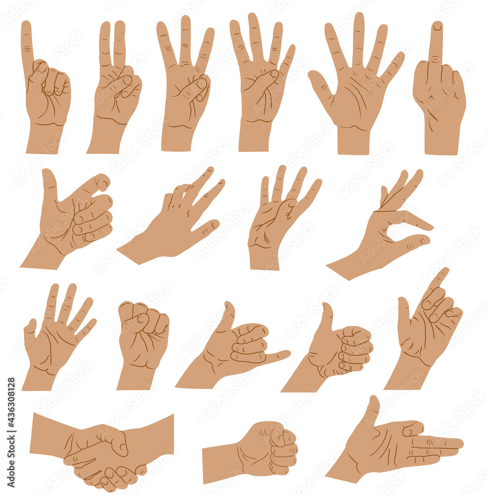 Hands and arms expressions. Hands sign big set, ok, help handshake and press touch, praying and meditation, numbers symbols Hands and arms expressions. Hands sign big set, ok, help handshake and press touch, praying and meditation, numbers symbols