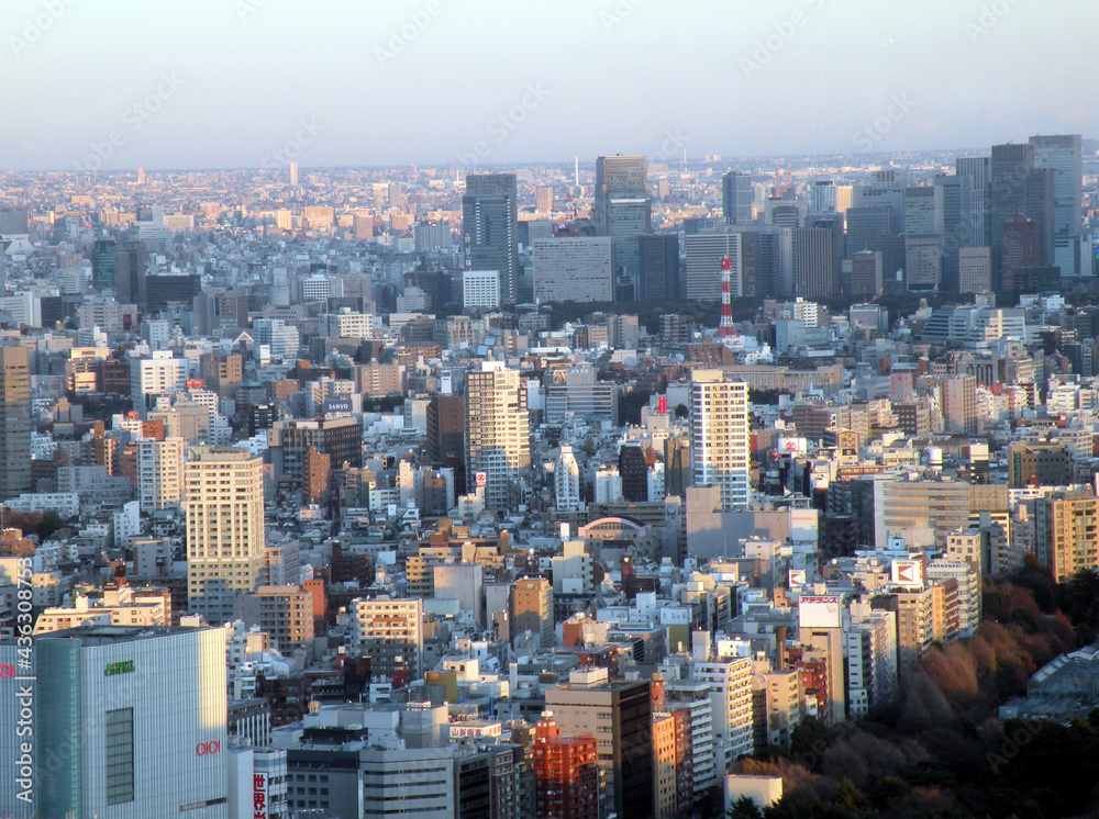 東京の街並み