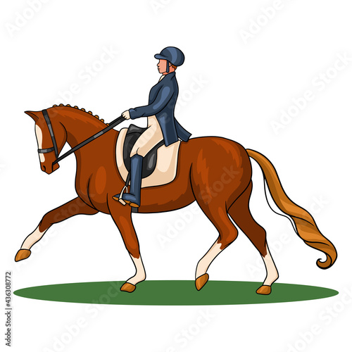 Horse Riding Woman Riding Dressage Horse in Cartoon Style