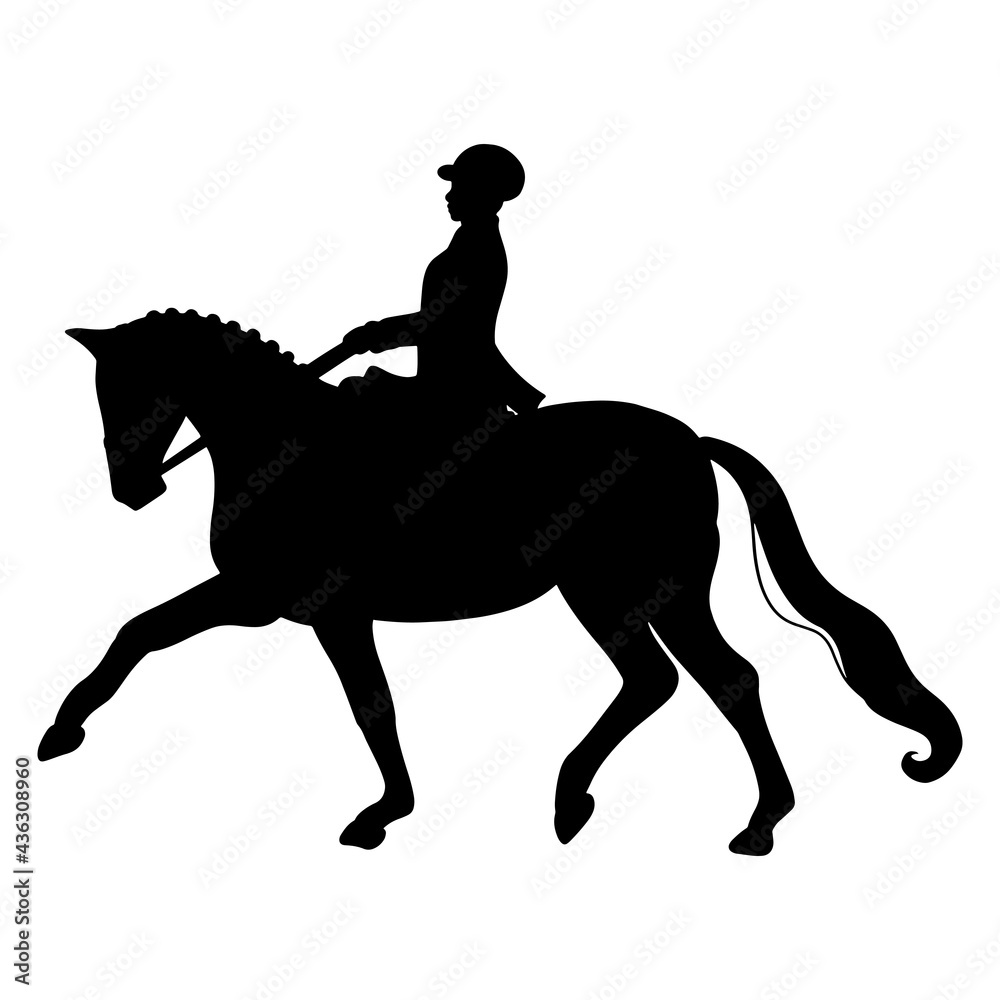 Horse Riding Woman Riding Dressage Horse in Silhouette