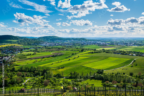 Obraz na płótnie Germany, Panorama view above winnenden city houses surrounded by wide green nature landscape of fields and vineyards in summer w salonie