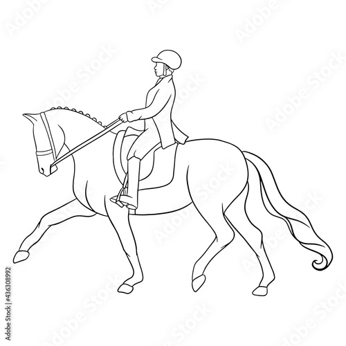 Fototapeta Naklejka Na Ścianę i Meble -  Horse Riding Woman Riding Dressage Horse in Line style