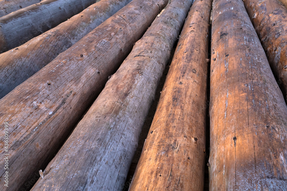 Large wooden logs for construction, felled tree trunks in large numbers. The concept of construction and forestry. Large wooden logs for construction, felled tree trunks in large numbers. The concept of construction and forestry.
