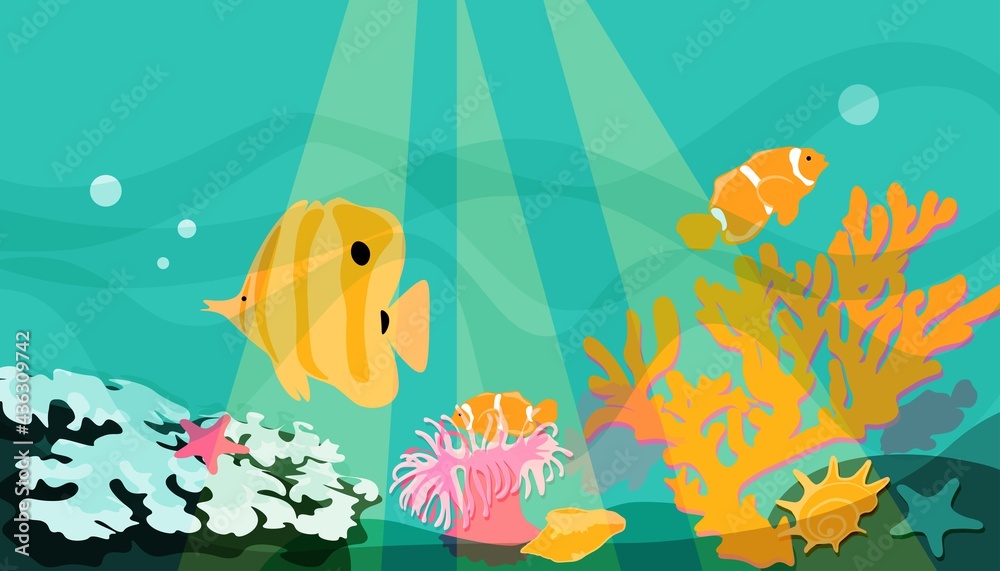 Coral reef underwater life, clown fish, butterfly fish, corals, shells, sea anemone. Turquoise orange. Background, substrate, banner.  Vector EPS10