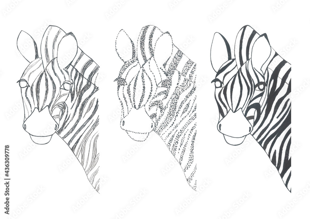 Naklejka premium Set of hand drawn stylized zebra figures. Line, dot and spot style design for poster, t shirt print, kids apparel, greeting card