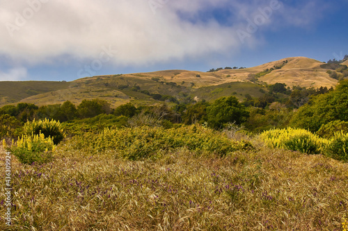 Hiking in Andrew Molera state park in the spring photo