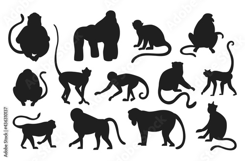 Monkeys silhouette. Hanging and jumping black apes. Various types of primates. Exotic animals set. Exotic rainforest fauna. Contour mammals with tails. Vector templates for zoo logo