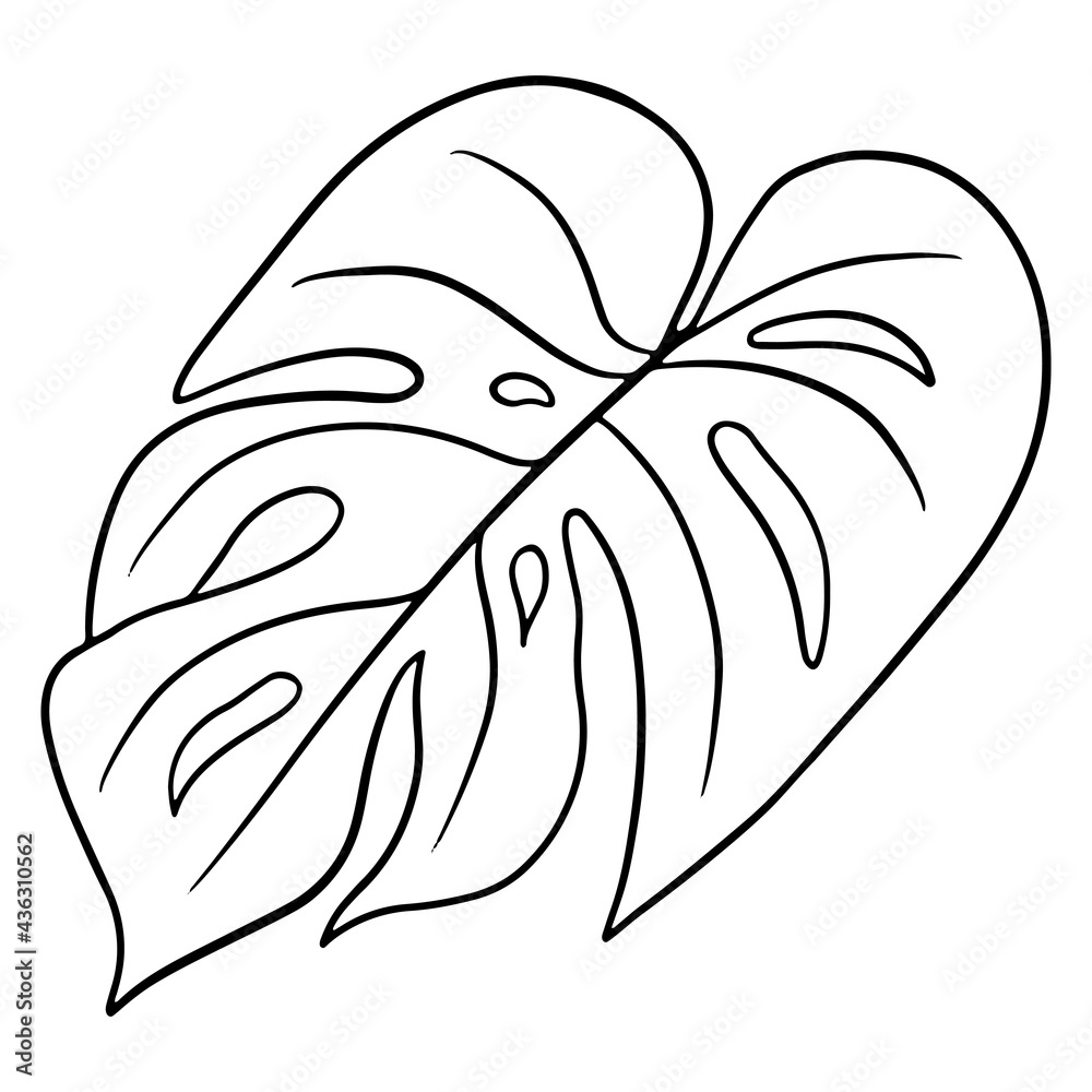Tropical plants exotic carved green leaf in line style coloring book Tropical plants exotic carved green leaf in line style coloring book