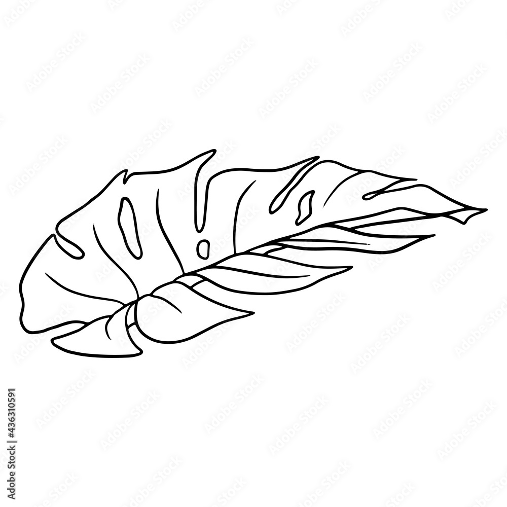 Tropical plants exotic carved green leaf in line style coloring book Tropical plants exotic carved green leaf in line style coloring book