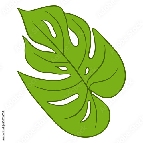 Tropical plants exotic carved green leaf in cartoon style