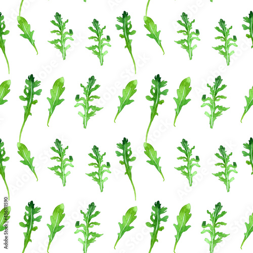 Aruqula leaves isolated on white background seamless pattern for all prints. Hand painted.