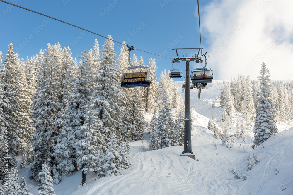 Chairlift and snowy trees at Kitzbuhel Ski Resort in Austria.
