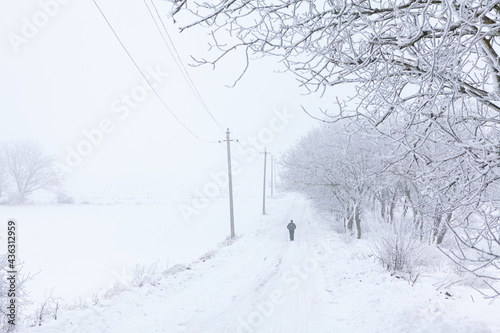 Walking alone on the snowy road . Winter solitude 