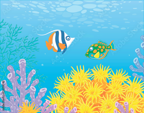 Exotic small fishes swimming in blue water of a colorful coral reef in a tropical southern sea, vector cartoon illustration