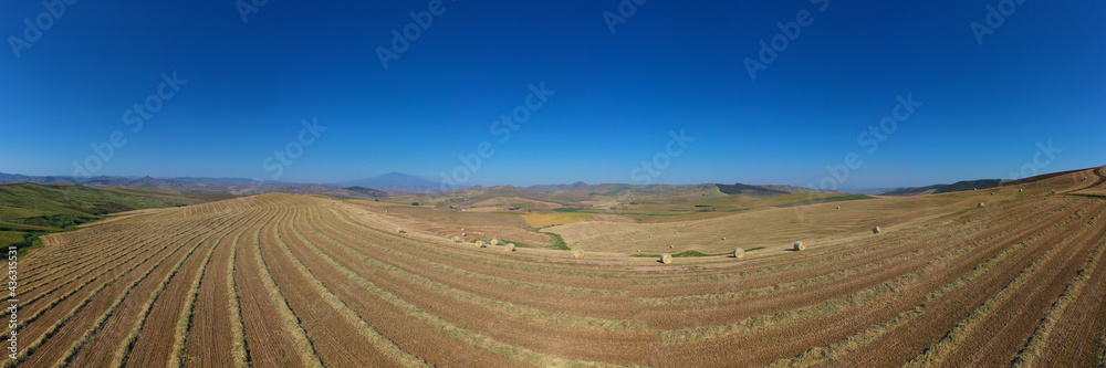 Fototapeta premium 180 degree saerial photo of the wheat fields in the heart of Sicily in the Erei mountains. Sicilian wheat cultivation. Small rural villages of Ramacca and Raddusa. Hay and grain. Etna view.