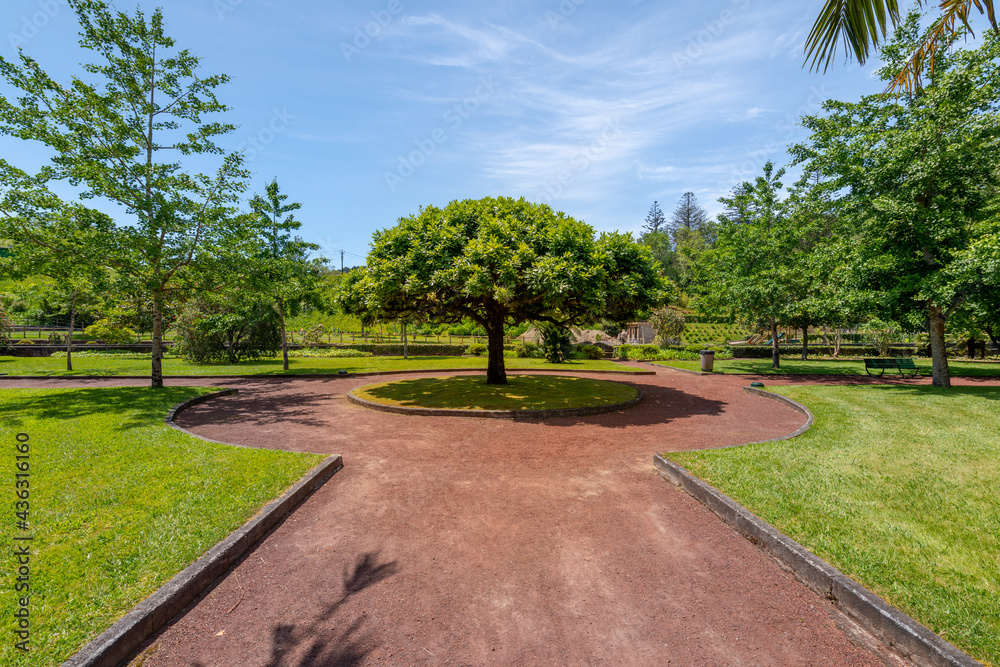 Landscape of Vila das Furnas - Azores