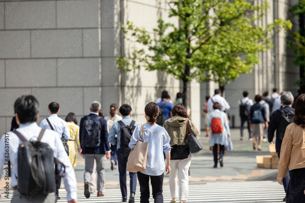 朝、通勤する女性の後ろ姿 朝、通勤する女性の後ろ姿