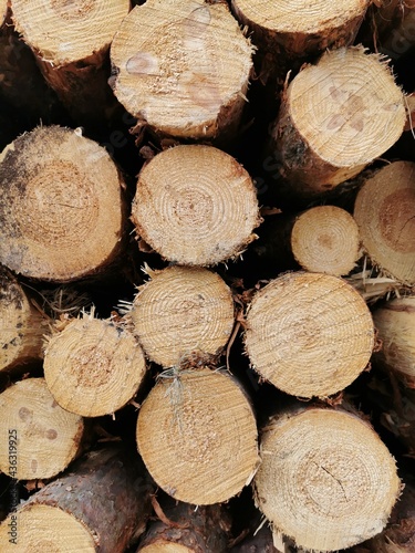 stack of firewood