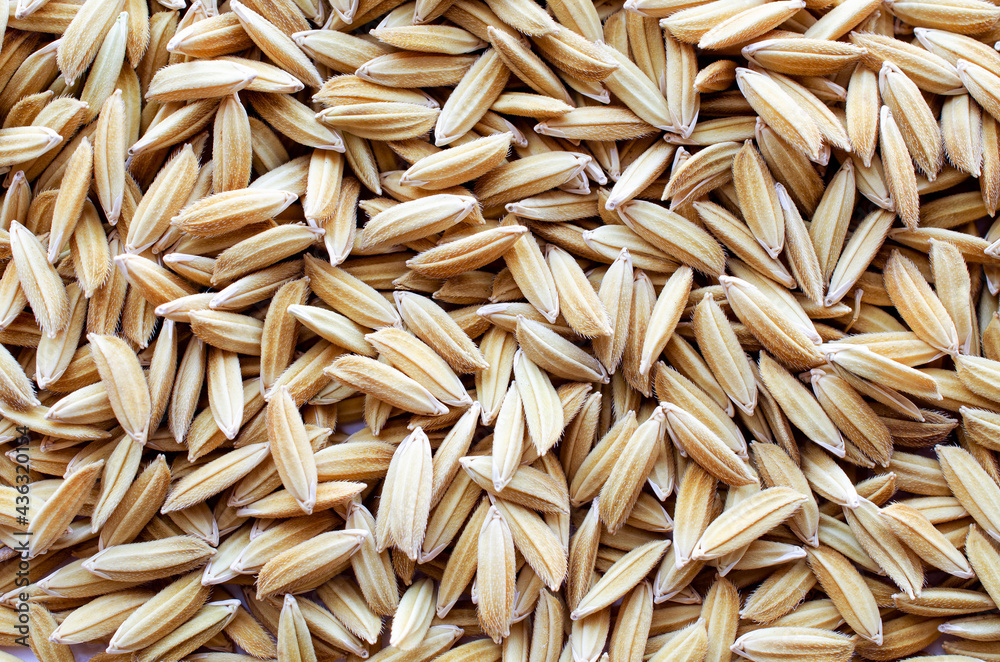 Dry organic rice seed background, for agricultural product or food raw material concept