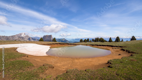 Vercors landscape, Combeau valley, ibex, Mont Aiguille, flowers and shepherd's hut photo