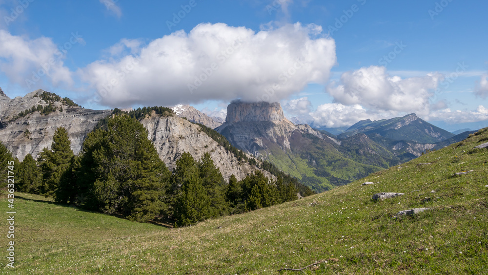 Vercors landscape, Combeau valley, ibex, Mont Aiguille, flowers and shepherd's hut
