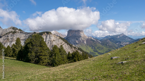Vercors landscape, Combeau valley, ibex, Mont Aiguille, flowers and shepherd's hut 
