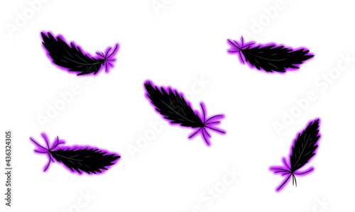 Devil's wings illustration