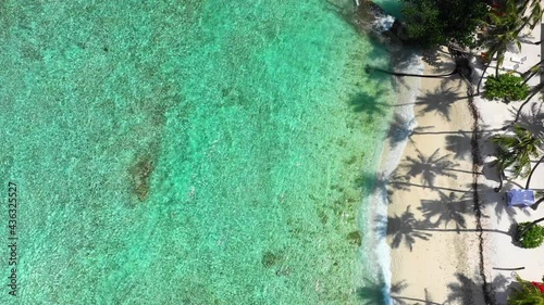 Aerial Moving Away From Gently Lapping Tropical Waves Washing Up On A Sandy Beach Under Bright Sunlight, With Palm Trees On The Right - Kandooma Fushi, Maldives photo