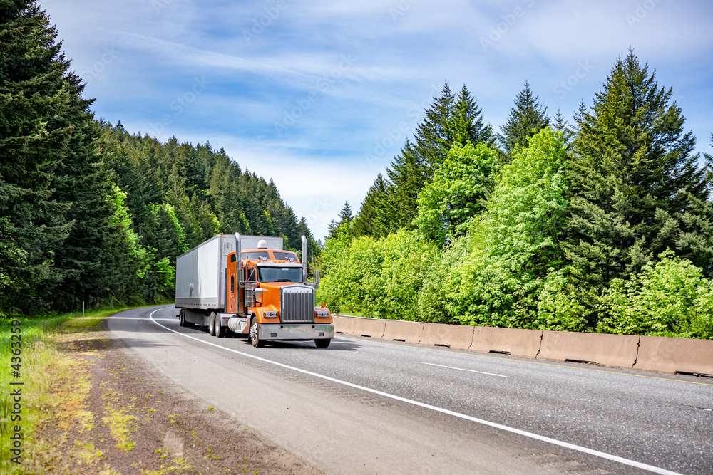 Spectacular classic orange big rig American idol semi truck tractor with dry van semi trailer running on the turning road passing through the green forest