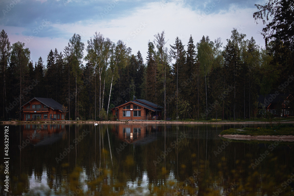 Obraz premium a lake on which a white swan swims and wooden houses on the shore.