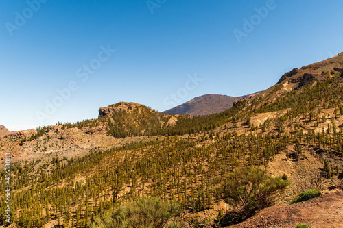 Formación rocosa en el Parque Nacional del Teide