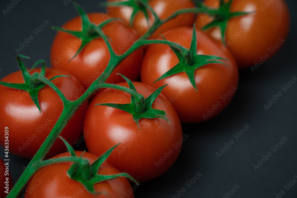 Red tomatoes on branch on a black background Red tomatoes on branch on a black background