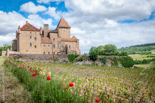 Vues du château de Pierreclos  en Bourgogne