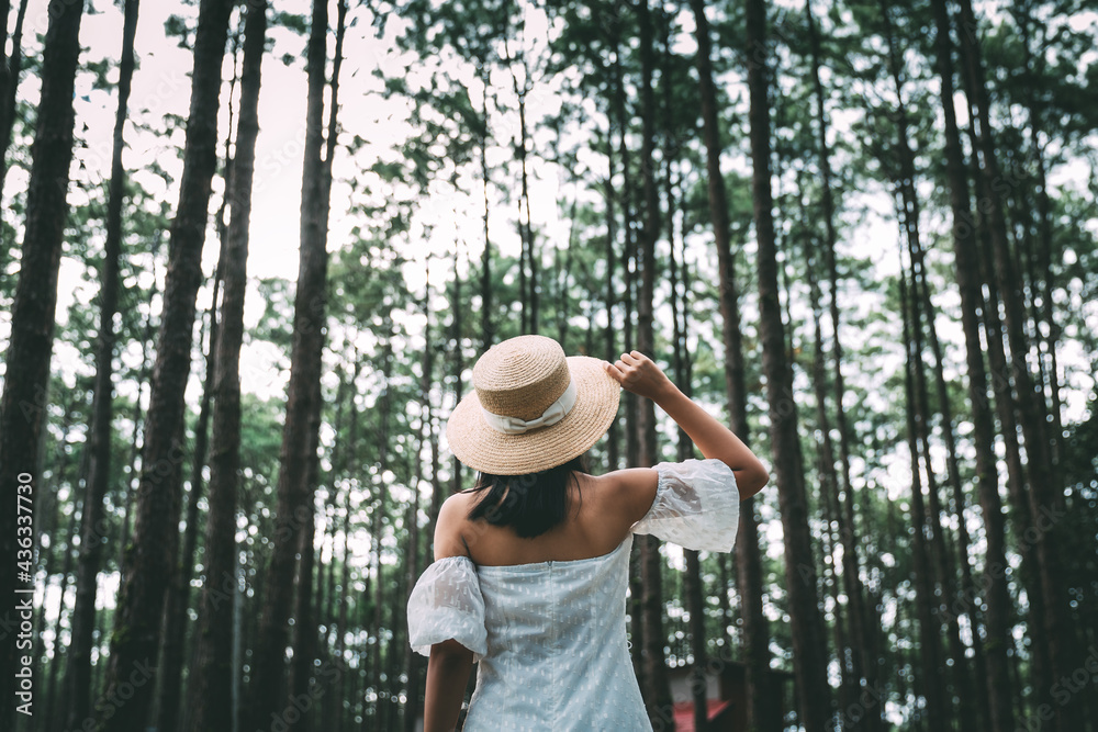 Traveler asian woman travel in pine tree garden in Doi Bo Luang Forest Park at Chiang Mai Thailand