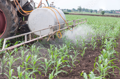 Farmers use tractors, spraying chemical or fertilizer to young green corn field 