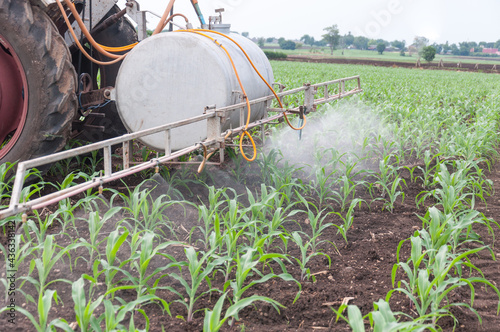 Farmers use tractors  spraying chemical or fertilizer to young green corn field 