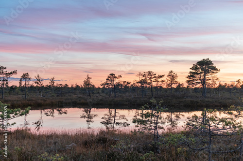 Obraz na plátně The Great Kemeri bog in the Kemeri National Park near Jurmala, Latvia during bea