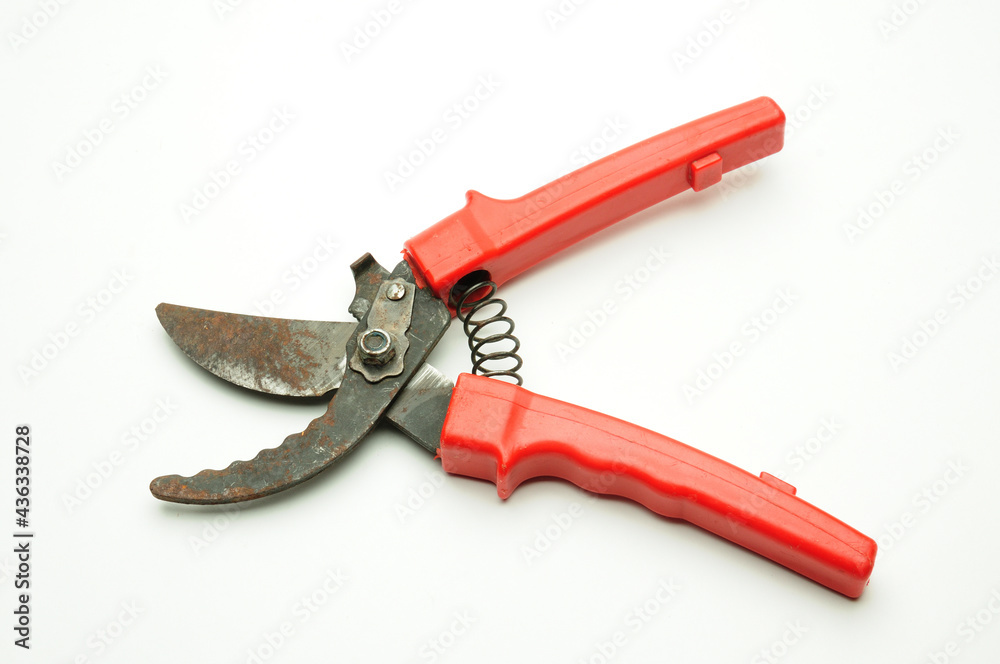 Scissors for pruning tree branches and bushes on a white background Scissors for pruning tree branches and bushes on a white background