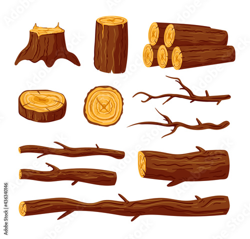 Cut raw wood trunks and planks of pine oak tree on isolated white background set. Vector doodle hand drawn graphic design illustration