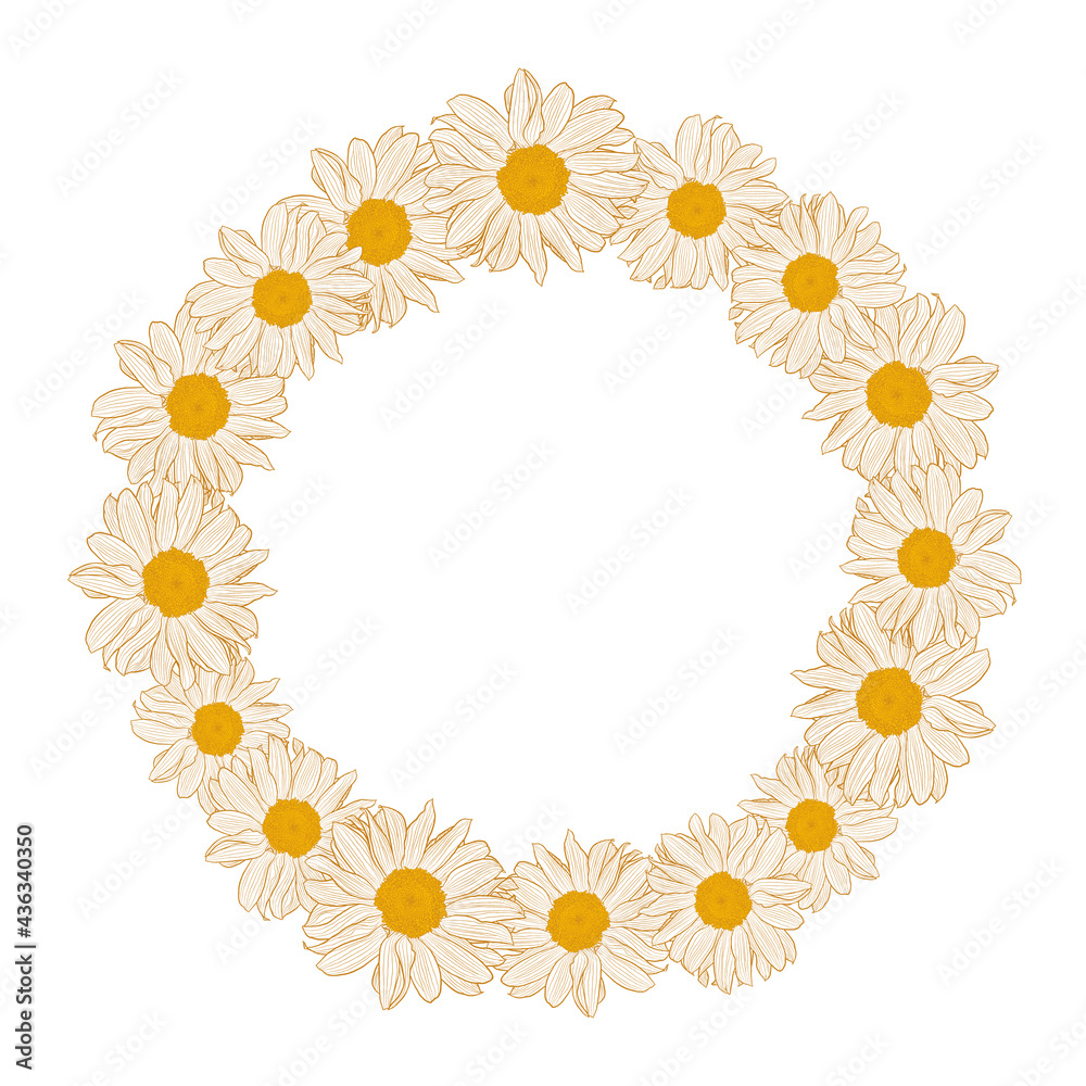 Floral wreath with chamomiles isolated on white background. Vector illustration element with copy space for text, may use for greeting cards, invitations, wedding, birthday, easter, package design.