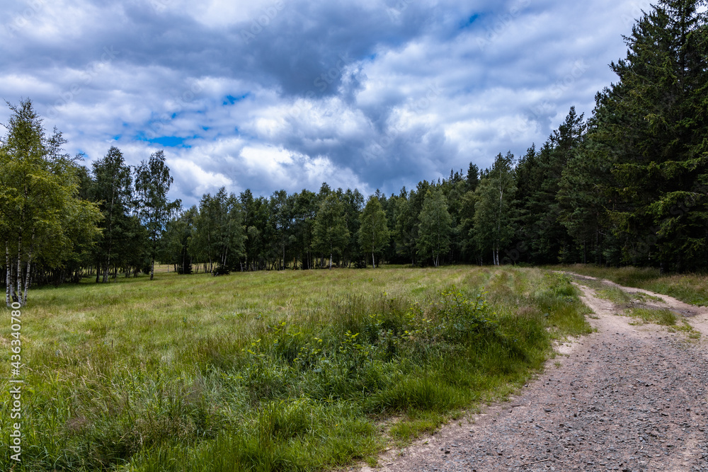 Long mountain trail in Walbrzych Mountains at cloudy day