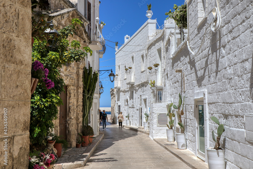 Fototapeta premium Streets of the old town of Monopoli, Puglia, Italy