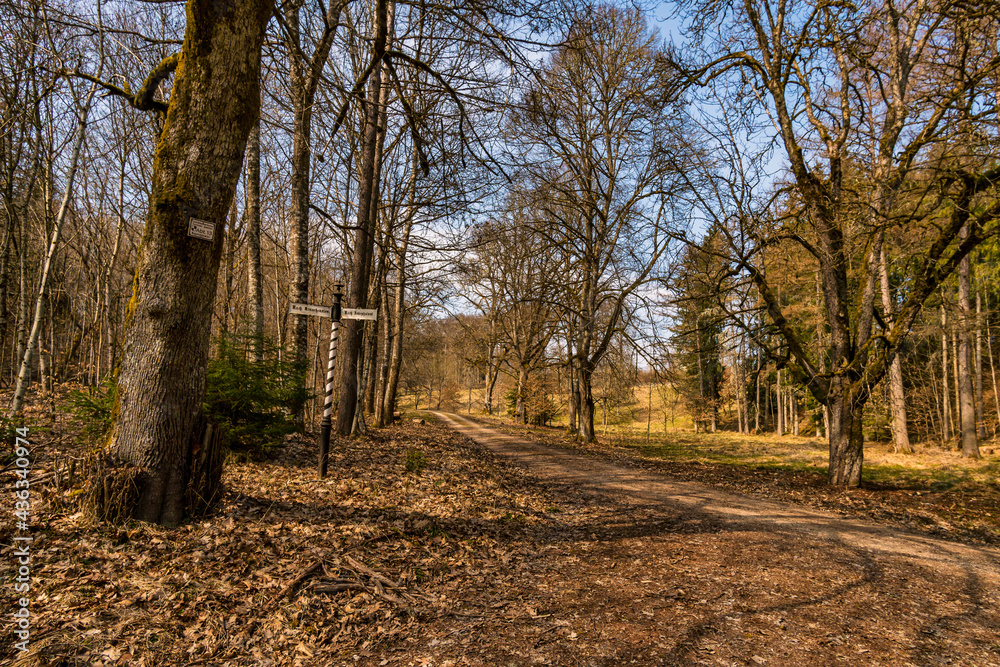 Fototapeta premium Spring hike through the Josefslust wildlife park near Sigmaringen