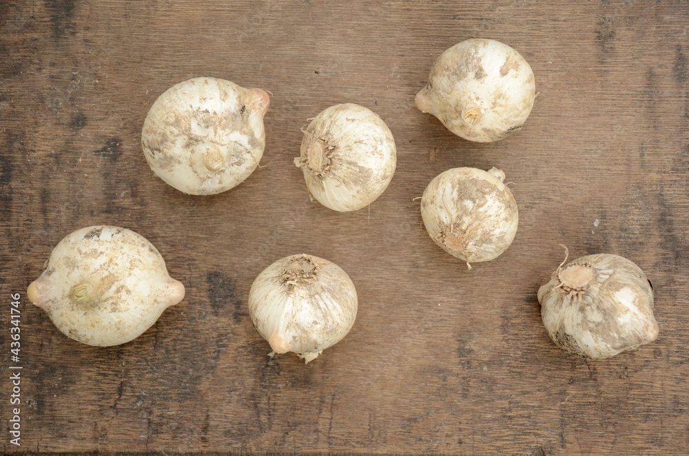 the white brown garlic on the wooden over out of focus brown background.