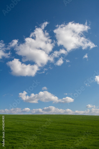 緑の草原と青空