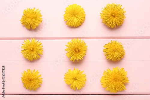 Flat lay composition with beautiful yellow dandelions on pink wooden table