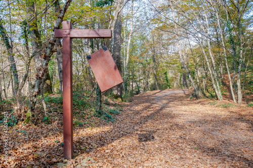 blank notice board by a path in the forest in autumn