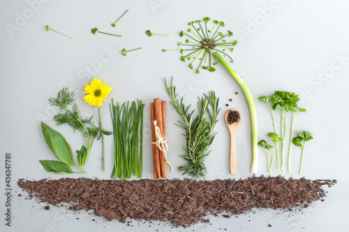 Spring summer salad food, h...